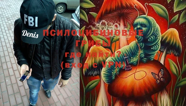 ПСИЛОЦИБИНОВЫЕ ГРИБЫ Осинники