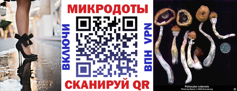 Галлюциногенные грибы мицелий  площадка телеграм  Канск 